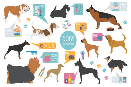 Dog info graphic template. Heatlh care, vet, nutrition, exhibition. Vector illustrationのイラスト素材