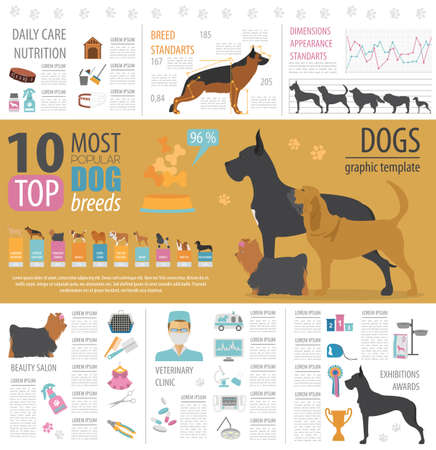 Dog info graphic template. Heatlh care, vet, nutrition, exhibition. Vector illustrationのイラスト素材