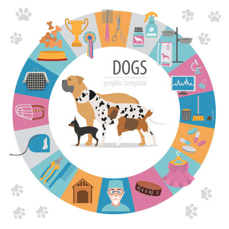 Dog info graphic template. Heatlh care, vet, nutrition, exhibition. Vector illustrationのイラスト素材