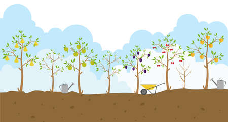 Fruit trees. Garden. Icon set. Vector illustrationのイラスト素材