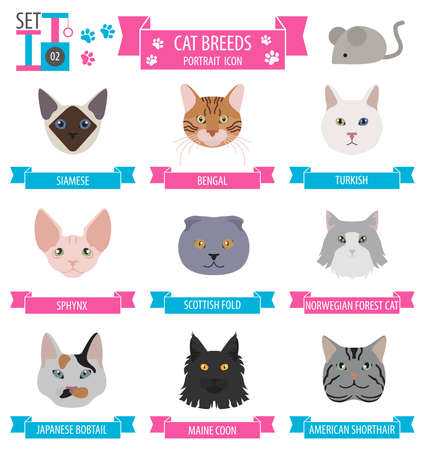 Cat breeds icon set flat style. Vector illustrationのイラスト素材