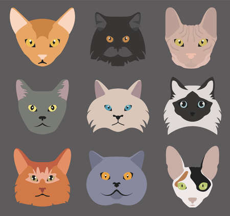 Cat breeds icon set flat style. Vector illustrationのイラスト素材