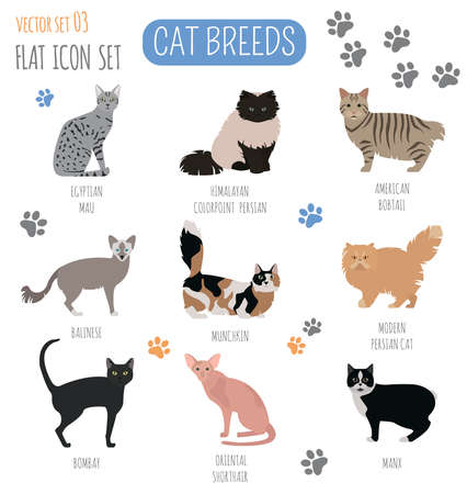 Cat breeds icon set flat style. Vector illustrationのイラスト素材