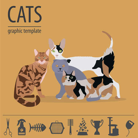 Cat characters and vet care icon set flat style. Vector illustrationのイラスト素材