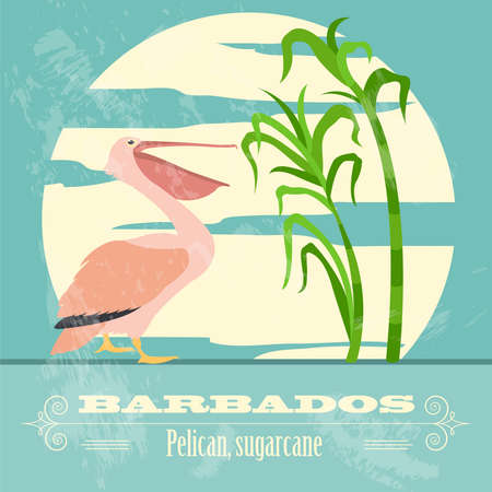 Barbados national symbols. Pelican; sugarcane. Retro styled image. Vector illustrationのイラスト素材