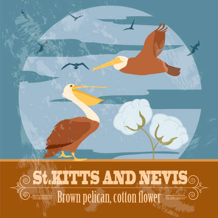Saint Kitts and Nevis national symbols. Brown pelican, cotton flower. Retro styled image. Vector illustrationのイラスト素材