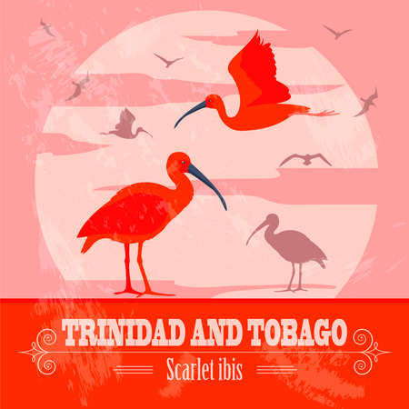 Trinidad and Tobago national symbols. Scarlet (red) ibis. Retro styled image. Vector illustrationのイラスト素材