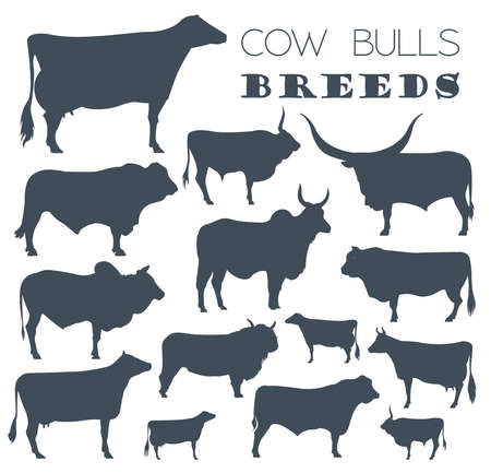 Cattle breeding farming. Cow, bulls breed icon set. Flat design. Vector illustrationのイラスト素材