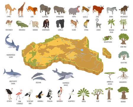 Flat 3d isometric Africa flora and fauna map constructor elements.のイラスト素材