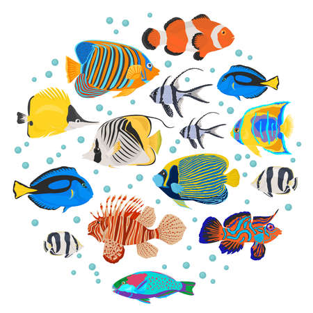 Freshwater aquarium fish breeds icon set flat style isolated on white. Coral reef. Create own infographic about pet. Vector illustration.のイラスト素材