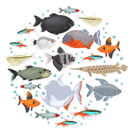 Freshwater aquarium fishes breeds icon set flat style isolated on white. Characins. Create own infographic about pets. Vector illustration.のイラスト素材
