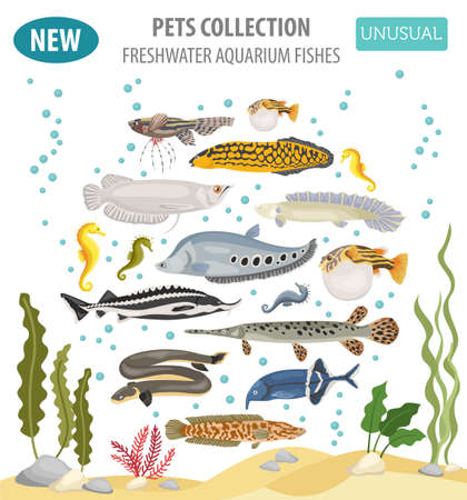 Unusual freshwater aquarium fish breeds icon set flat style isolated on white background. Create own infographic about pet. Vector illustration.のイラスト素材