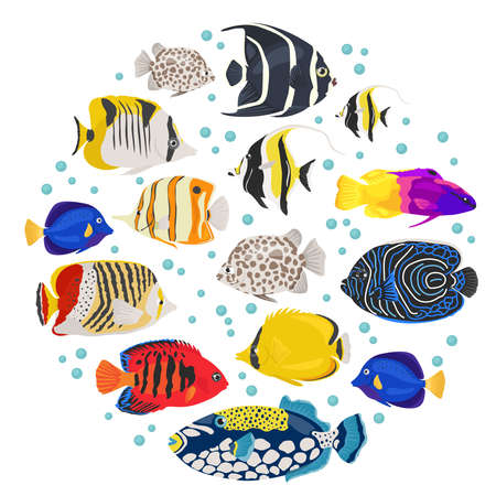 Freshwater aquarium fish breeds icon set flat style isolated on white background. Coral reef. Create own infographic about pet. Vector illustrationのイラスト素材