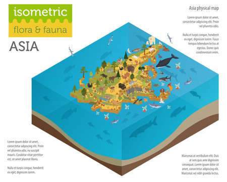 Isometric 3d Asian flora and fauna map constructor elements. Animals, birds and sea life isolated on white big set. Build your own geography infographics collection. Vector illustrationのイラスト素材