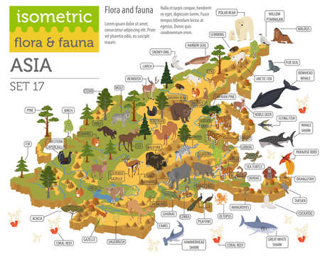 Isometric 3d Asian flora and fauna map constructor elements. Animals, birds and sea life isolated on white big set. Build your own geography infographics collection. Vector illustrationのイラスト素材