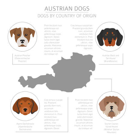 Dogs by country of origin. Austrian dog breeds. Infographic template. Vector illustrationのイラスト素材