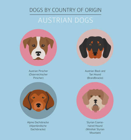 Dogs by country of origin. Austrian dog breeds. Infographic template. Vector illustrationのイラスト素材