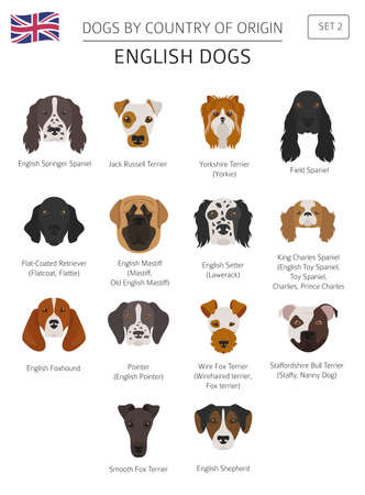 Dogs by country of origin. English dog breeds. Infographic template. Vector illustrationのイラスト素材