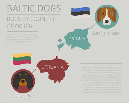 Dogs by country of origin. Baltic dog breeds. Infographic template. Vector illustrationのイラスト素材