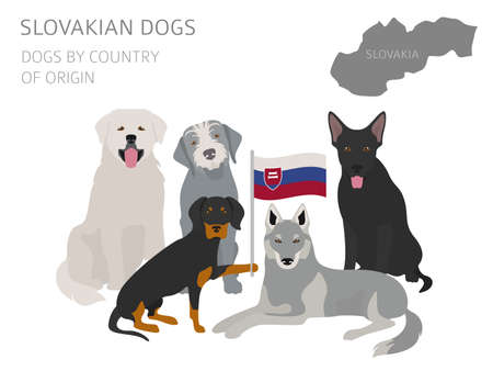 Dogs by country of origin. Slovakian dog breeds. Infographic template. Vector illustrationのイラスト素材