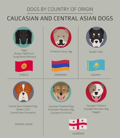 Dogs by country of origin. Caucasian and Central Asian dog breeds. Infographic template. Vector illustrationのイラスト素材
