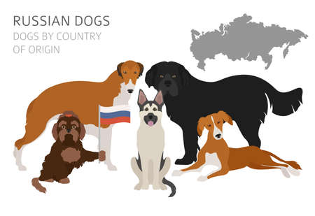 Dogs by country of origin. Russian dog breeds. Infographic template. Vector illustrationのイラスト素材