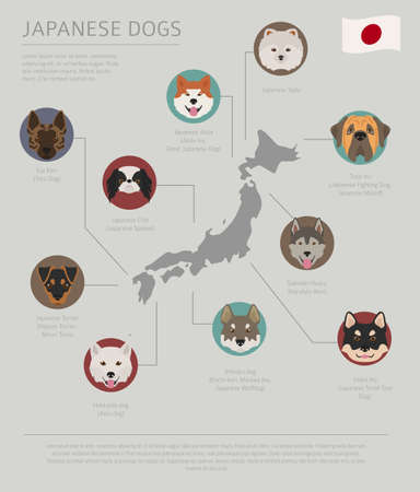 Dogs by country of origin. Japanese dog breeds. Infographic template. Vector illustrationのイラスト素材
