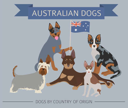 Dogs by country of origin. Australian dog breeds, New Zealand dogs. Infographic template. Vector illustrationのイラスト素材