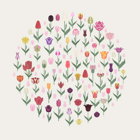 Tulip varieties flat icon set. Garden flower and house plants infographic. Vector illustrationのイラスト素材