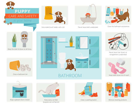 Puppy care and safety in your home. Bathroom. Pet dog training infographic design. Vector illustrationのイラスト素材