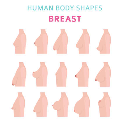 Human body shapes. woman breast form set. Vector illustrationのイラスト素材