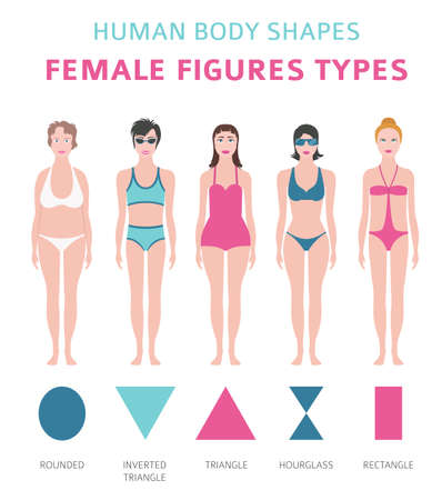 Human body shapes. Female figures types set. Vector illustrationのイラスト素材