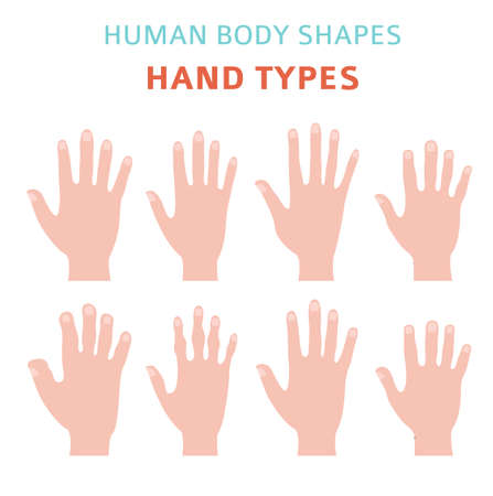 Human body shapes. Hand types icon set. Vector illustrationのイラスト素材