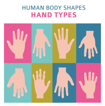 Human body shapes. Hand types icon set. Vector illustrationのイラスト素材