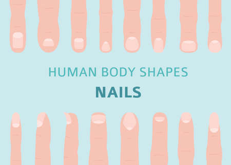 Human body shapes. Hand finger nail types set. Vector illustrationのイラスト素材