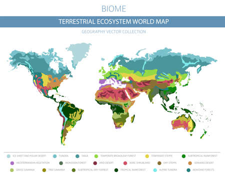 Terrestrial ecosystem world map. Biome. World climatic zone infographic design. Vector illustrationのイラスト素材