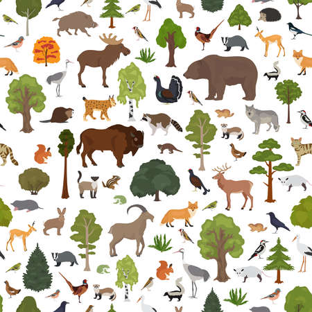 Temperate broadleaf forest and mixed forest biome seamless pattern.Terrestrial ecosystem world map. Animals, birds and plants graphic design. Vector illustrationのイラスト素材