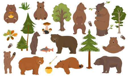 All bear species in one set. Bears in forest collection. Vector illustrationのイラスト素材