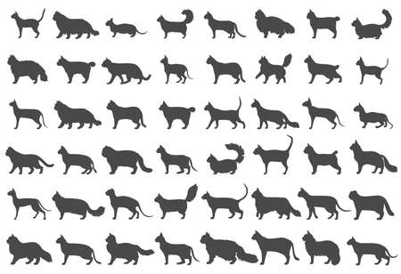 Cat breeds icon set flat style isolated on white. Cartoon silhouettes cats characters collection. Vector illustrationのイラスト素材