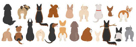 Dogs poses behind. Dog`s butts. Flat design clipart. Vector illustrationのイラスト素材
