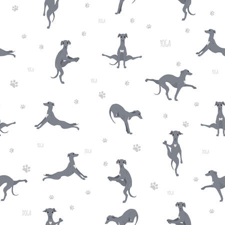Yoga dogs poses and exercises seamless pattern design. Italian greyhound  clipart. Vector illustrationのイラスト素材