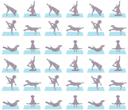 Yoga dogs poses and exercises seamless pattern design. Weimaraner clipart. Vector illustrationのイラスト素材