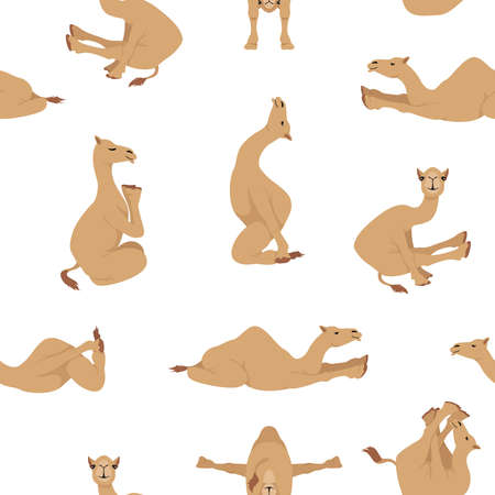 Camelids family collection. Dromedary camel yoga seamless design. Vector illustrationのイラスト素材