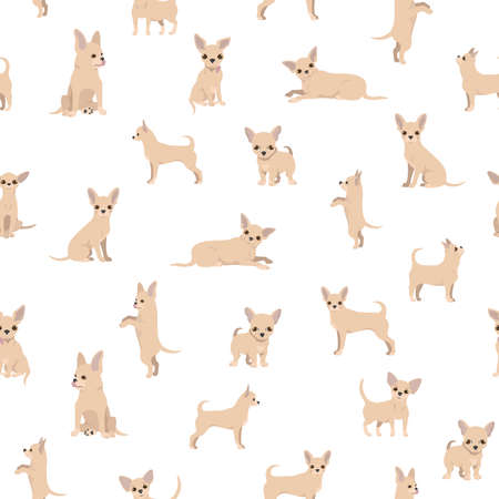 Chihuahua seamless pattern. Dog healthy silhouette and different poses background. Vector illustrationのイラスト素材