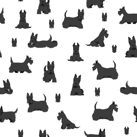 Scottish terrier dogs in different poses and coat colors. Adult and puppy scottie seamless pattern. Vector illustrationのイラスト素材
