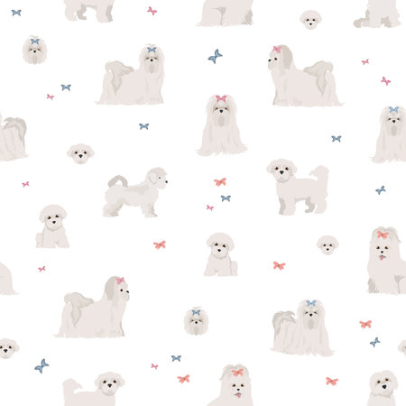 Maltese dogs in different poses seamless pattern. Vector illustrationのイラスト素材