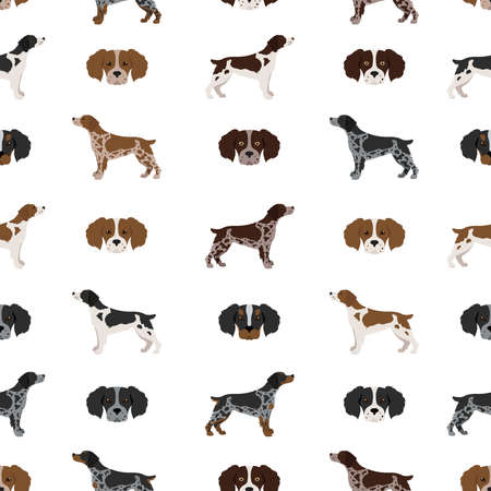 Brittany spaneil seamless pattern. Different poses set. Adult and puppy dogs infographic. Vector illustrationのイラスト素材