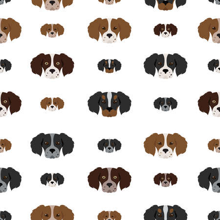 Brittany spaneil seamless pattern. Different poses set. Adult and puppy dogs infographic. Vector illustrationのイラスト素材