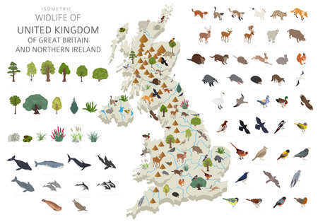 Isometric 3d design of United Kingdom wildlife. Animals, birds and plants constructor elements isolated on white set. Build your own geography infographics collection. Vector illustration