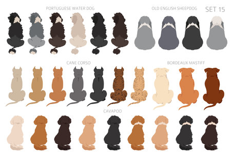 Sitting dogs backside clipart, rear view. Diifferent coat colors variety. Pet graphic design for dog lovers. Vector illustrationのイラスト素材